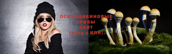 мяу мяу кристалл Михайлов