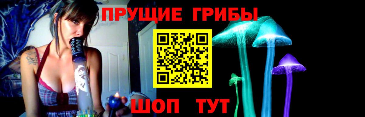 Галлюциногенные грибы прущие грибы  Вход с VPN  Шумерля 